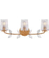 Aliso 3-Light Medium Three Light Vanity in Distressed Brass