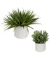 Edgewood Greenery, Set of 2