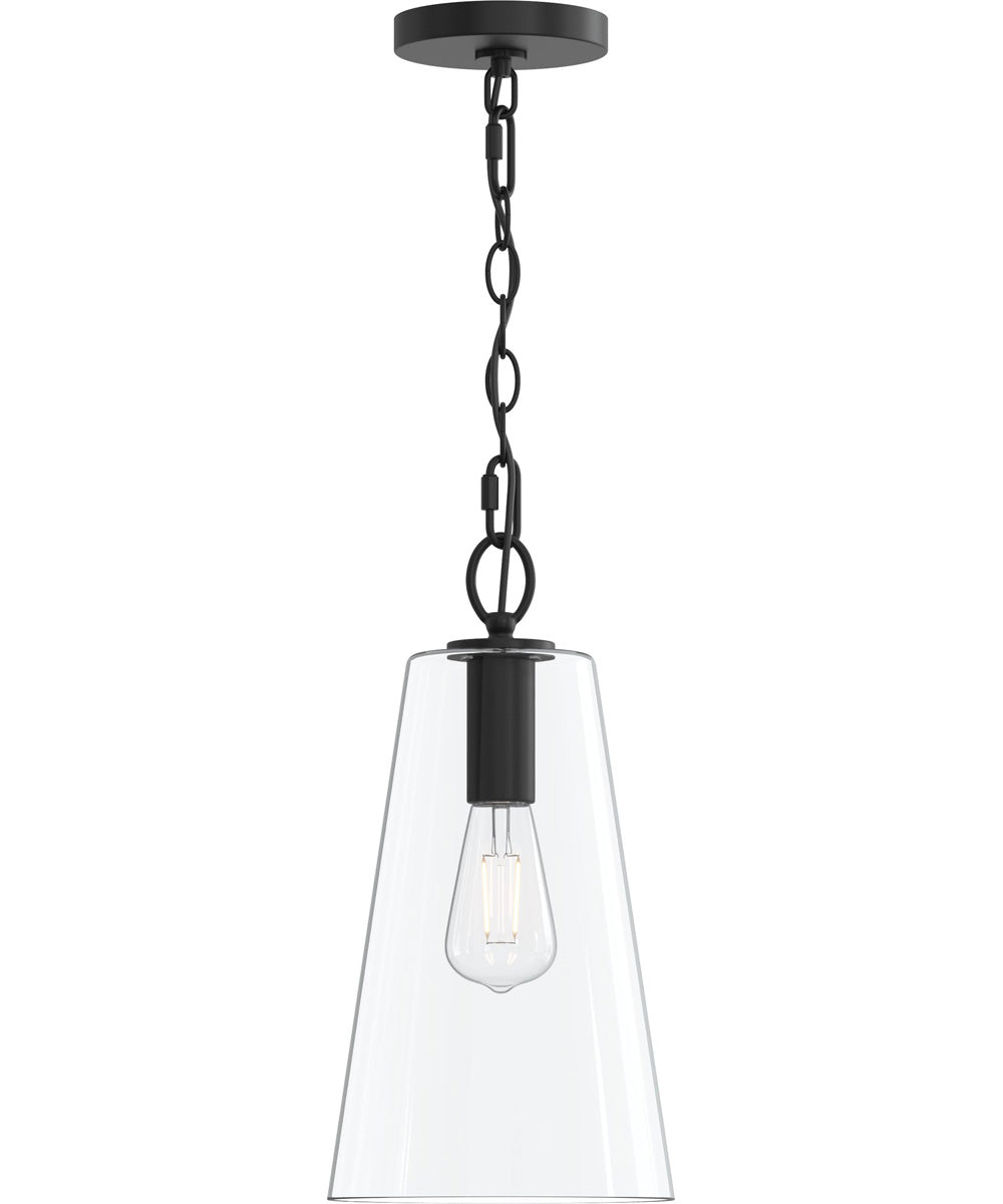 Jheni 1-Light Pendant with Clear Glass Shade Matte Black