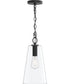 Jheni 1-Light Pendant with Clear Glass Shade Matte Black