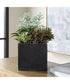 Greystone Indoor-Outdoor Succulent