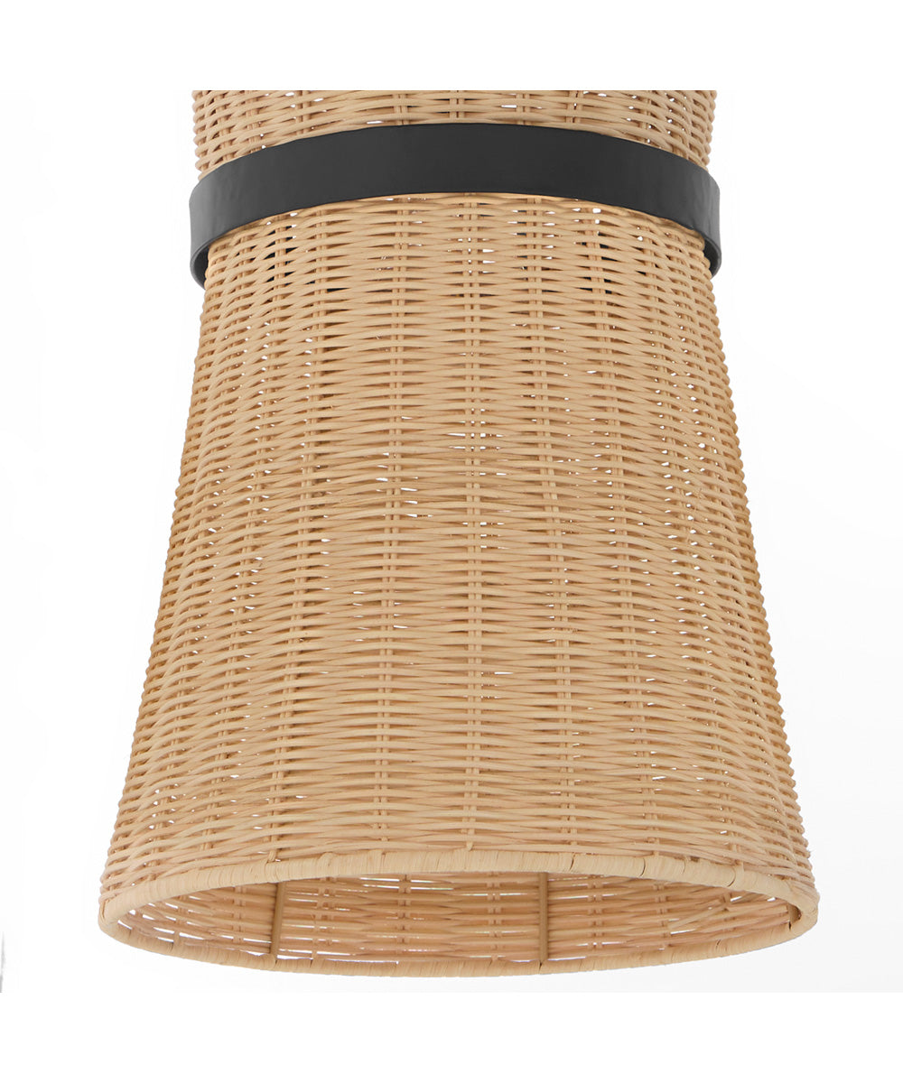 Fairview 2-light Pendant Matte Black