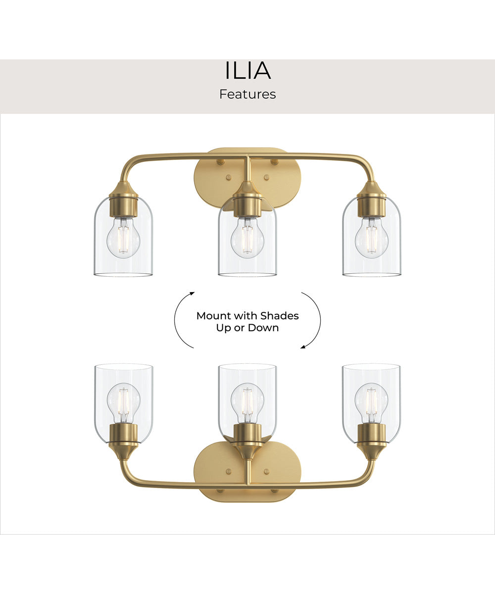 Ilia 3-Light Bath Vanity with Clear Glass Shade Brushed Gold