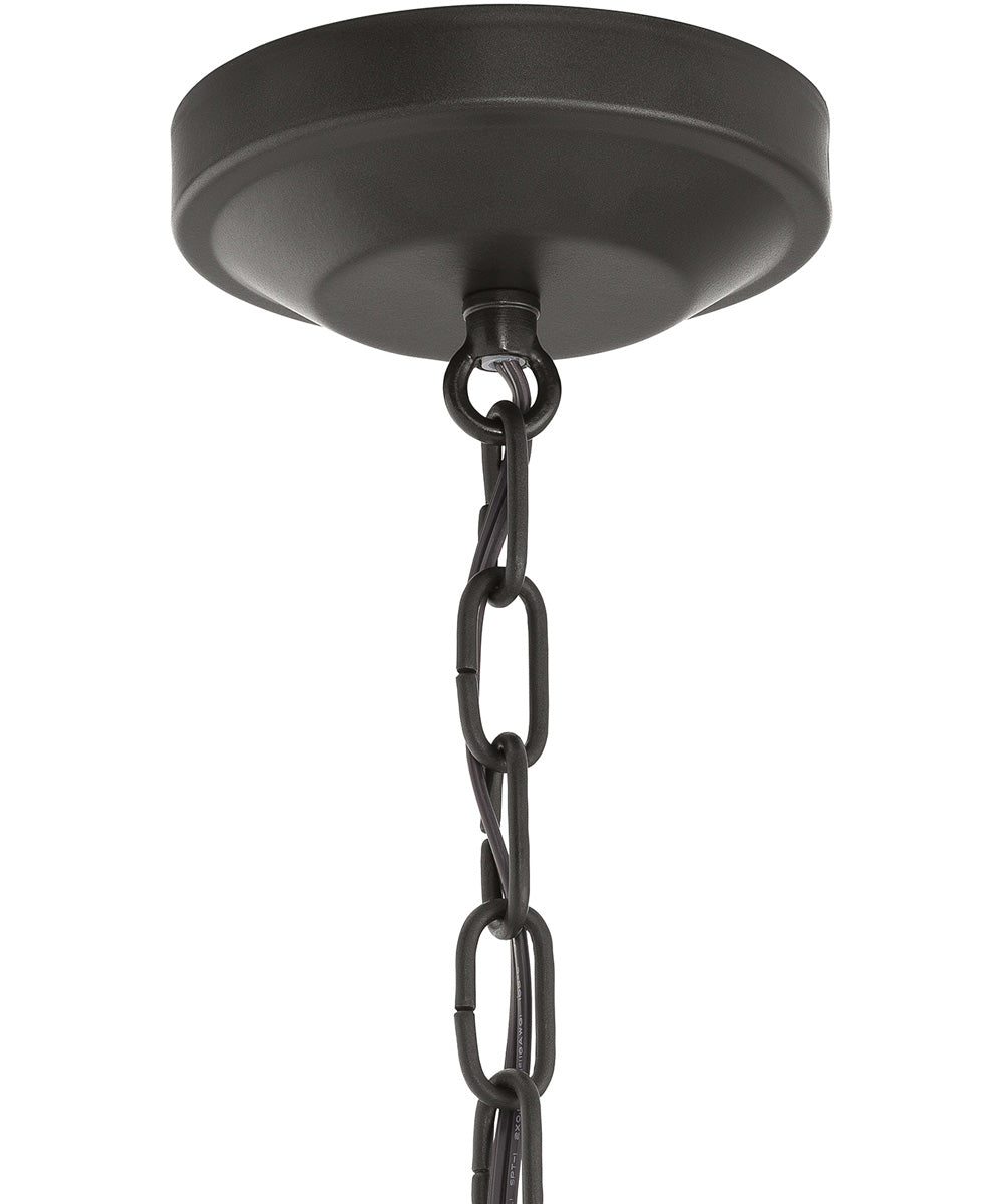Lieon 2-Light Convertible Pendant Antique Bronze