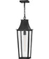 Georgetown Coastal Elements  1-Light Large Hanging Lantern in Black