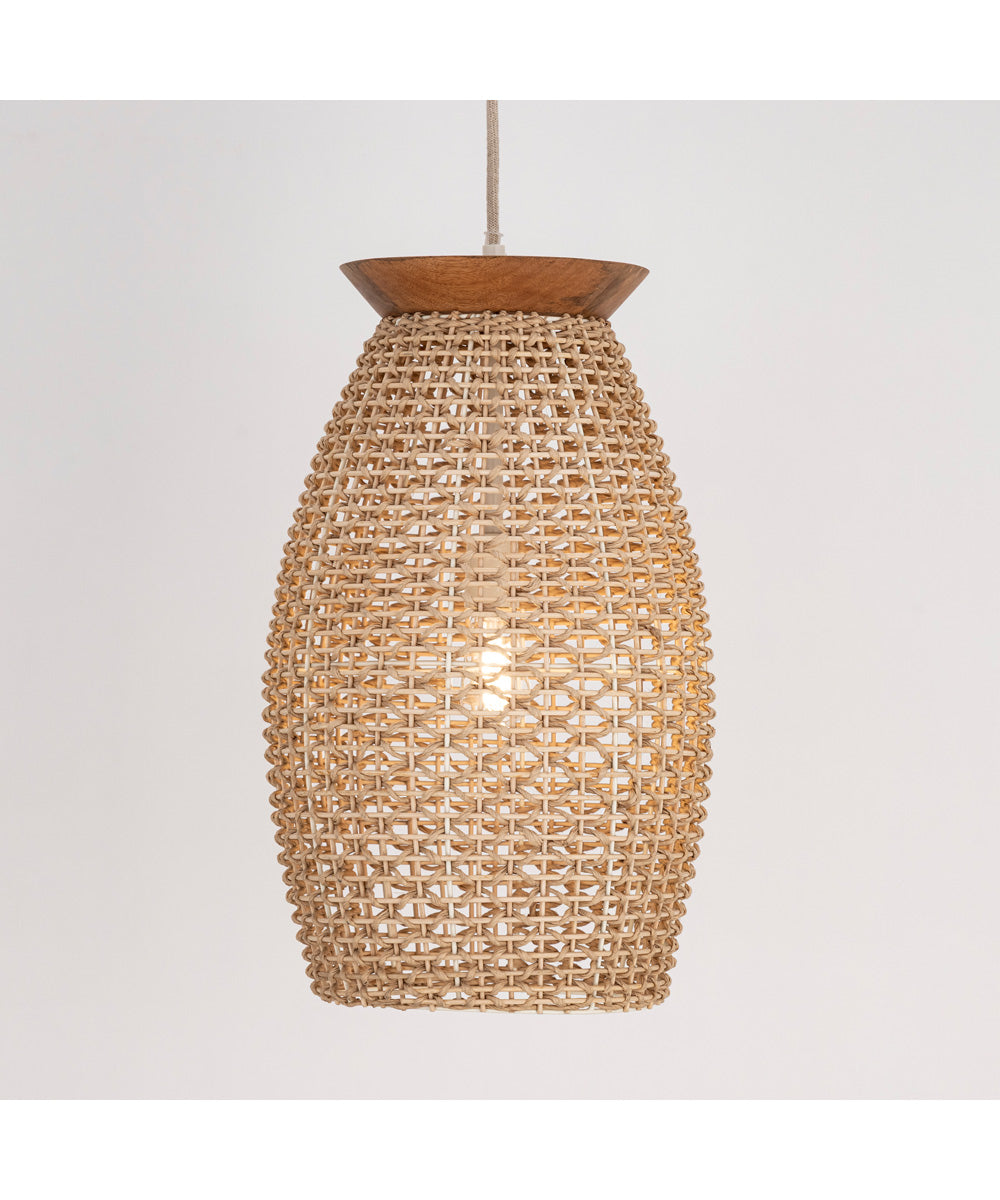 Cotswold Large 1-Light Pendant