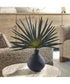 Axis Palm Accent & Vase