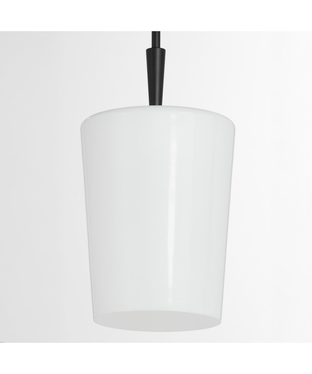Goodwin Pendant Matte Black