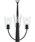 Jheni 3-Light Chandelier with Clear Glass Shades Matte Black
