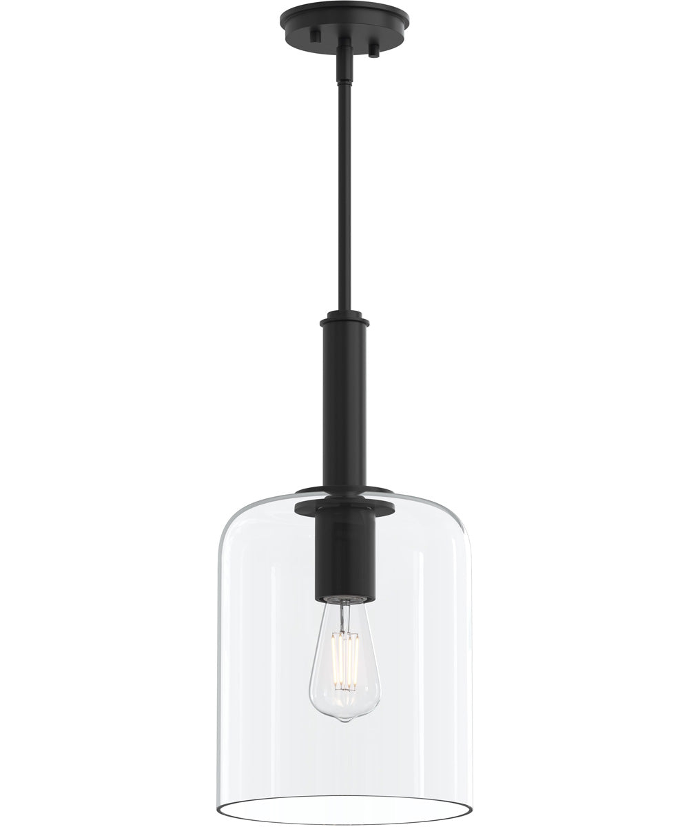 Reines 1-Light Pendant with Clear Glass Shade Matte Black