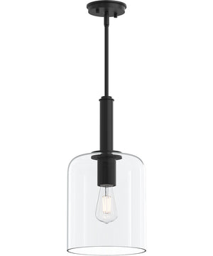 Reines 1-Light Pendant with Clear Glass Shade Matte Black
