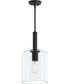 Reines 1-Light Pendant with Clear Glass Shade Matte Black