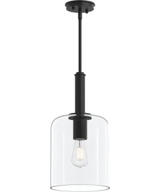 Reines 1-Light Pendant with Clear Glass Shade Matte Black