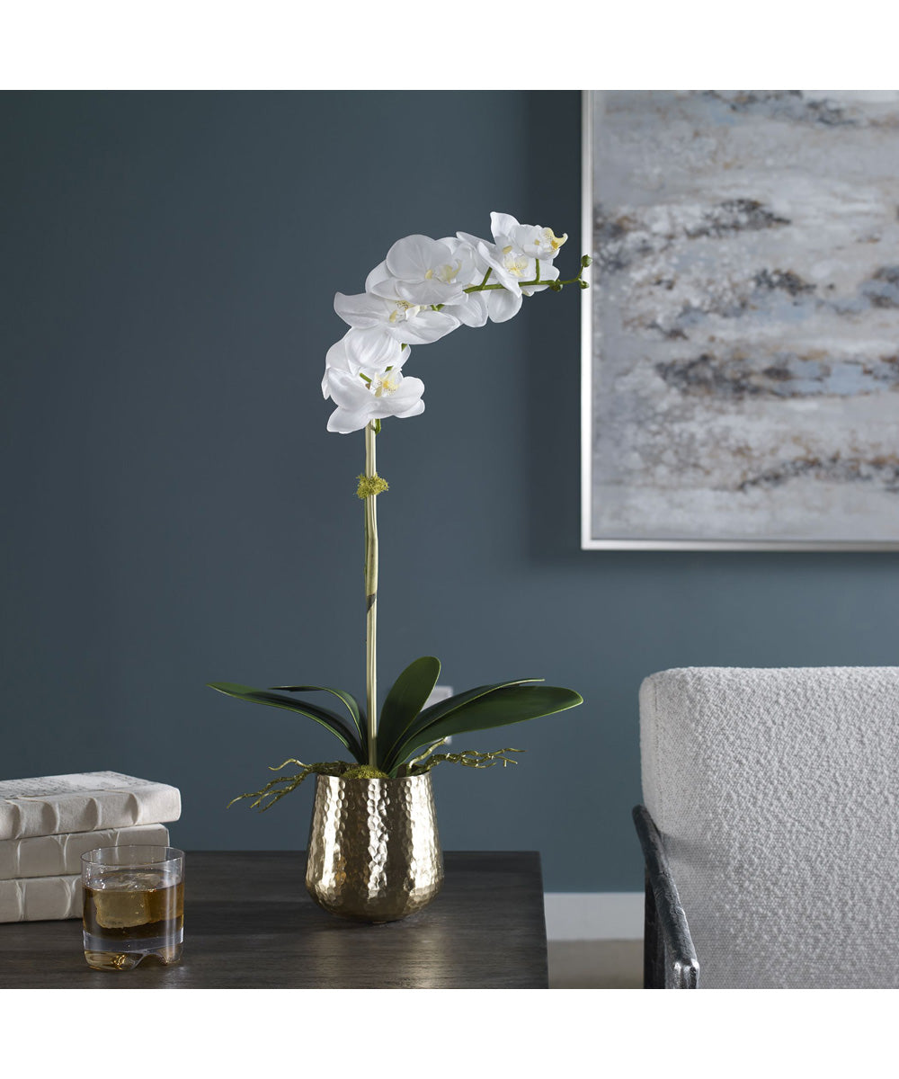 Cami Orchid With Brass Pot