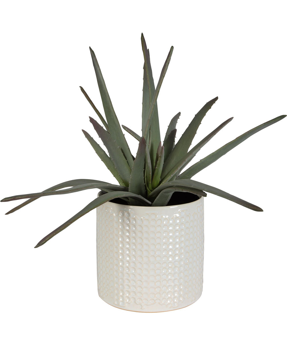 Taos Aloe Centerpiece