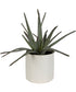 Taos Aloe Centerpiece