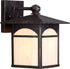 10"H Canyon 1-Light Outdoor Umber Bronze
