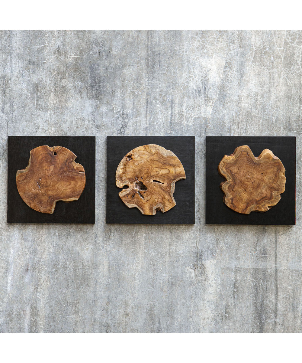 Kolini Teak Wood Wall Decor, Set of 3