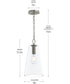Jheni 1-Light Pendant with Clear Glass Shade Brushed Nickel