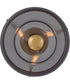 Adella 3-Light Small Semi-Flush Mount in Lacquered Brass