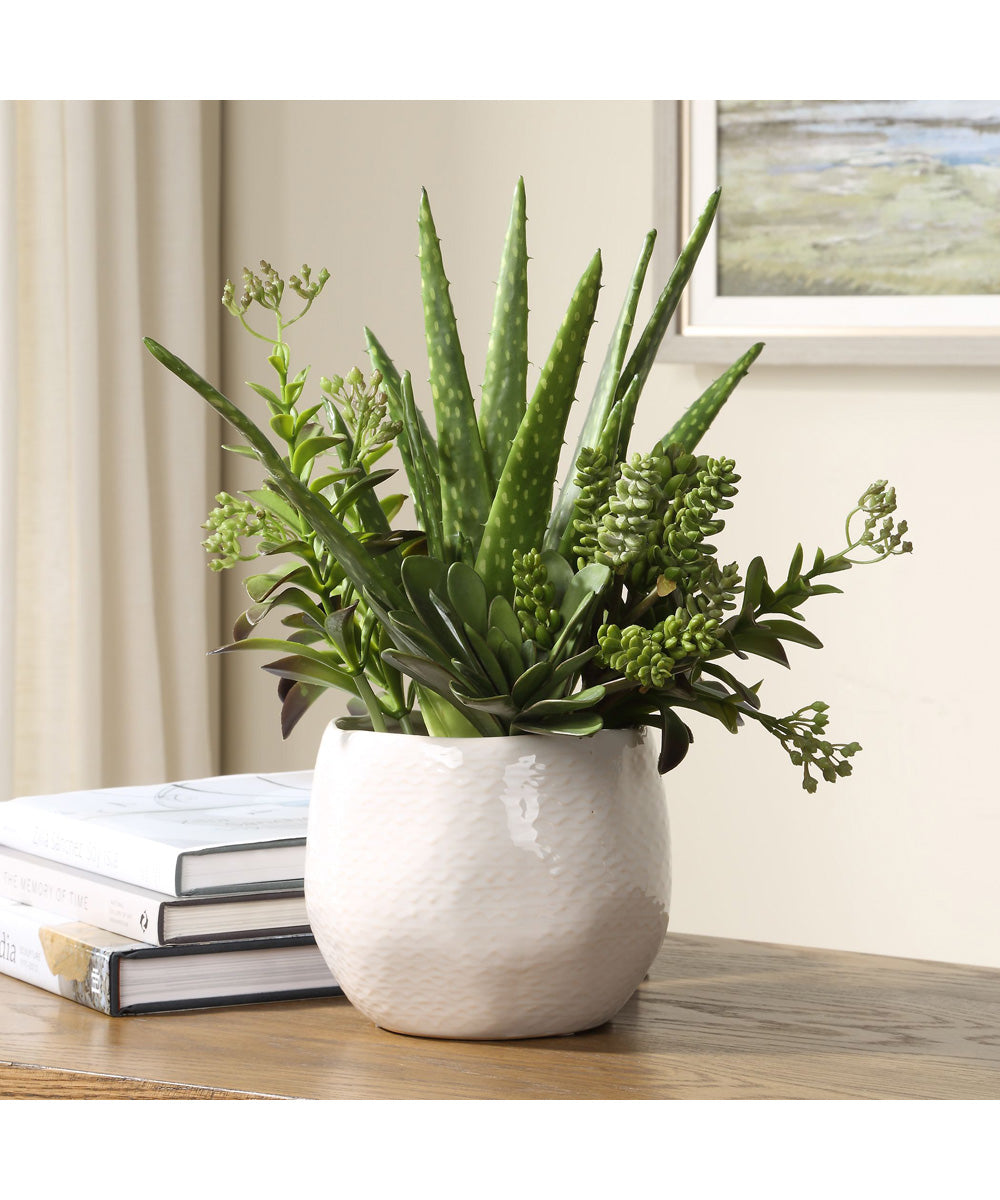 Sundown Succulent Accent Planter