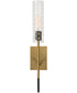 Telesto 1 Light Brass Sconce