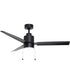 Falcon Pull Chain 52 inch In/Outdoor Fan w LED Light Black