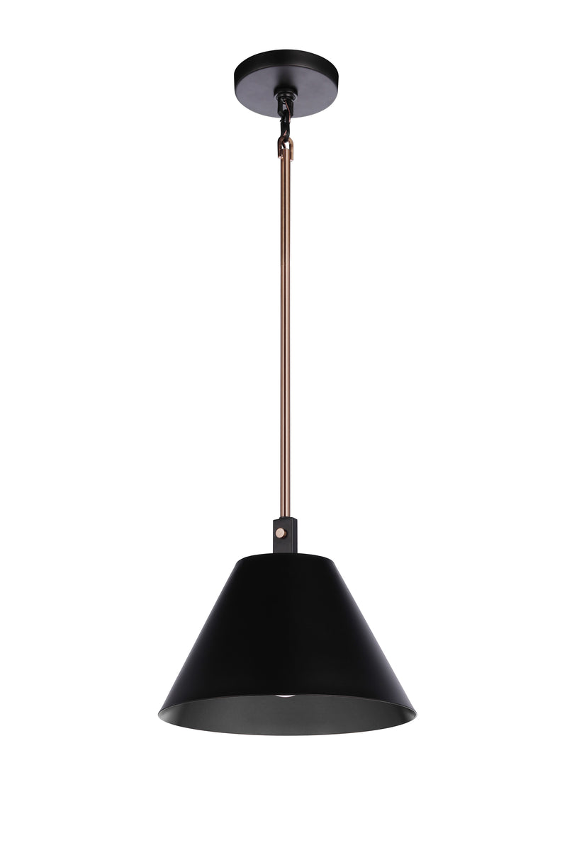 Blake 1-Light Lighting Flat Black/Satin Brass