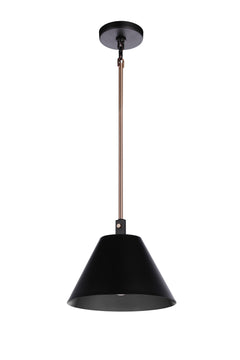 Blake 1-Light Lighting Flat Black/Satin Brass