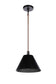 Blake 1-Light Lighting Flat Black/Satin Brass