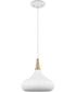 Phoenix 1-Light Pendant Matte White / Burnished Brass