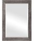 26x36" Wall Mirror Slightly Raised in Silver Tones