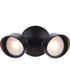 LED Flood 2-Light Outdoor Lighting Bronze