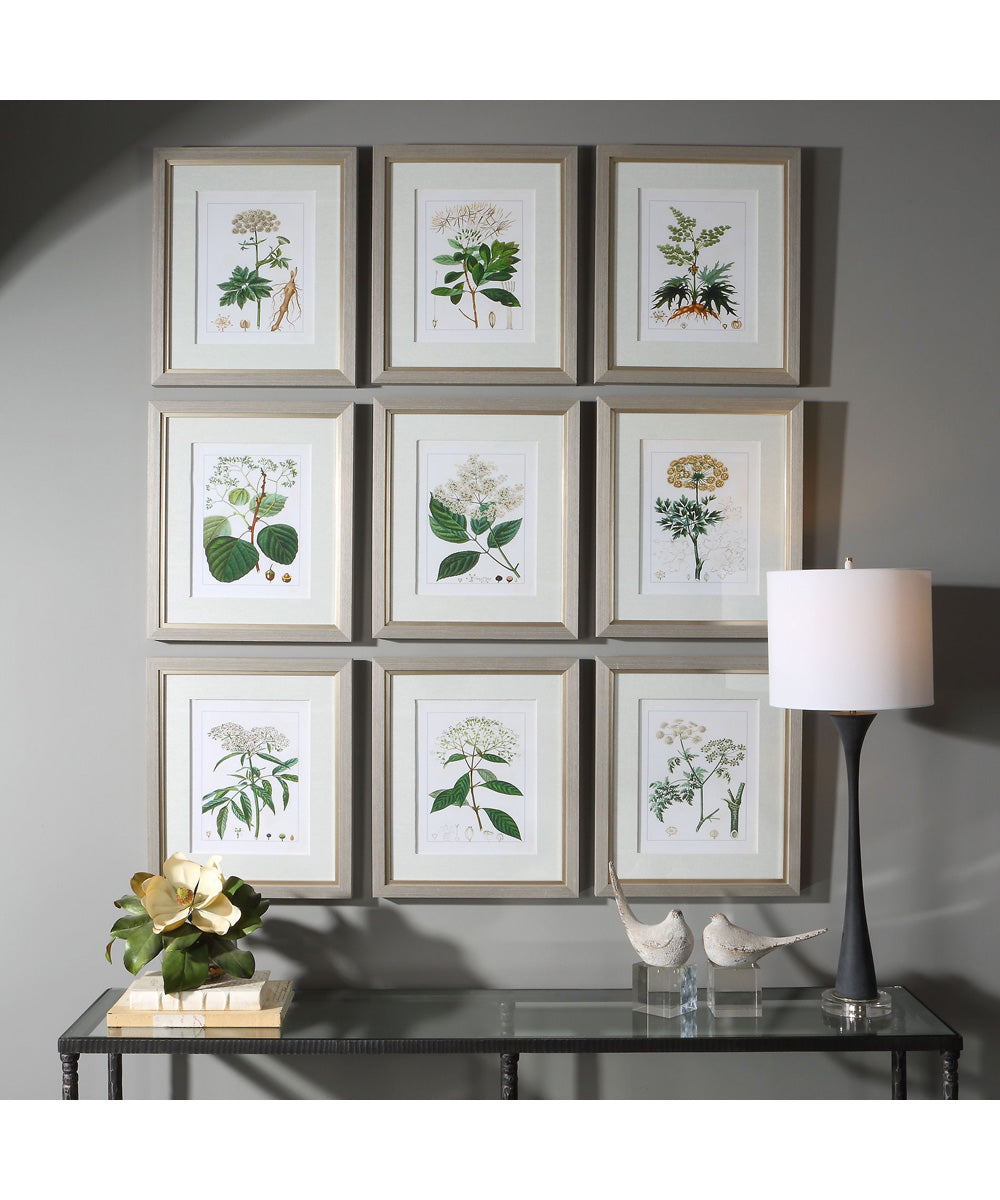 Antique Botanicals Framed Prints, Set of 9