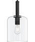 Reines 1-Light Pendant with Clear Glass Shade Matte Black