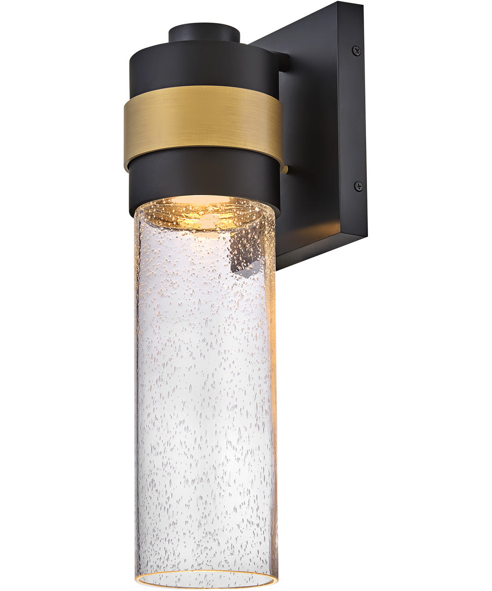 Albie 1-Light Medium Wall Mount Lantern in Black