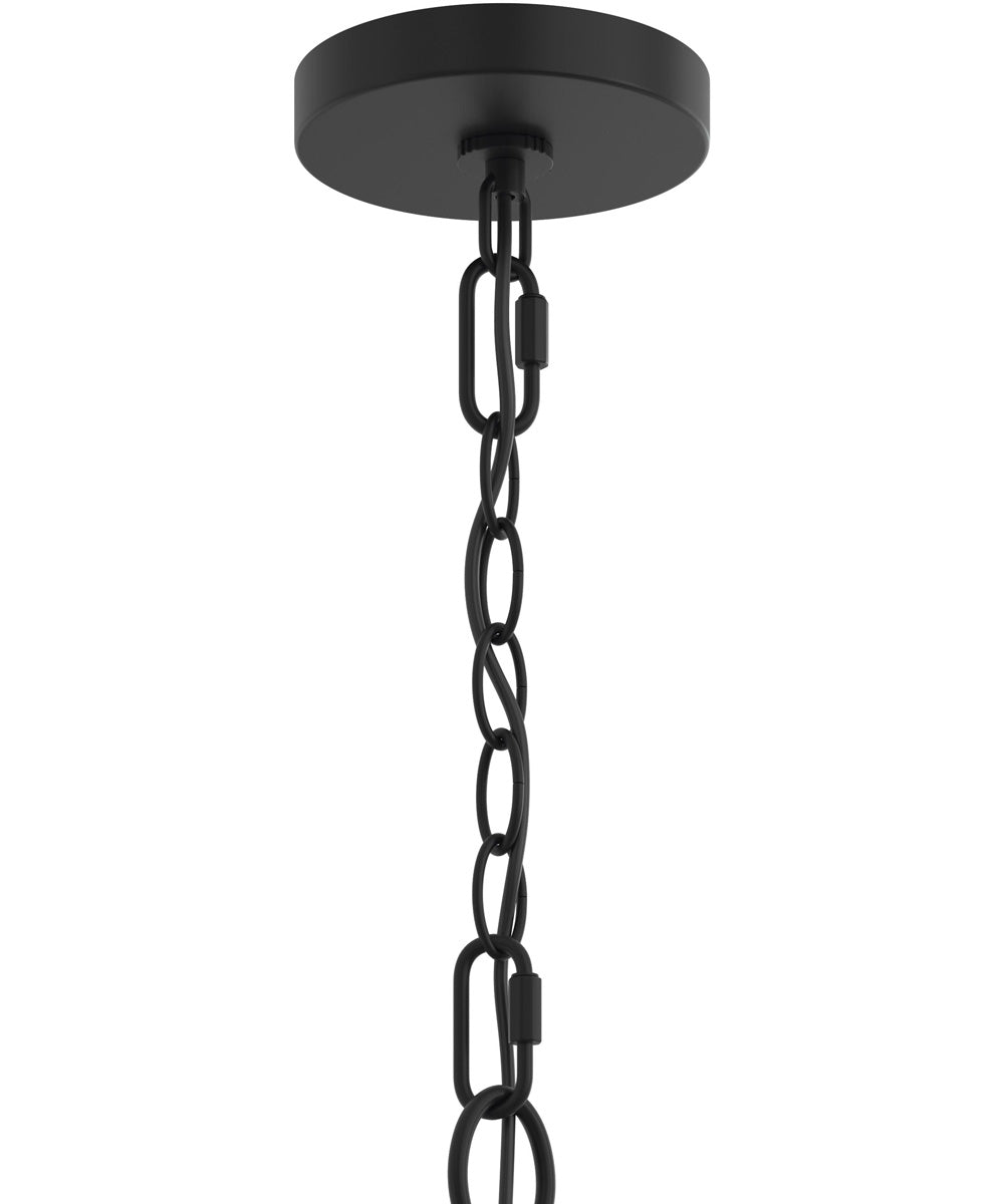 Jheni 6-Light Chandelier with Clear Glass Shades Matte Black