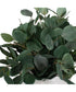 Essence Eucalyptus Accent & Vase