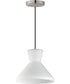 Sinch Single Pendant Satin Nickel