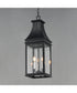 Bramwell VX 3-Light Outdoor Pendant Black Patina
