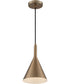 8"W Lightcap 1-Light Pendant Burnished Brass