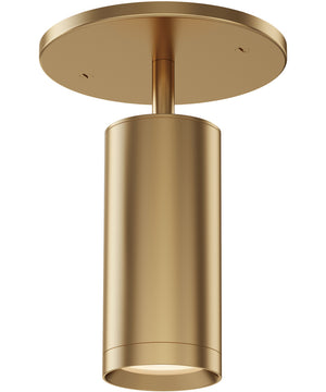 Pullman Retractable Spotlight Natural Aged Brass