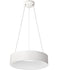 LED Pendant Lights