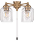 4-Light Accessory Satin Brass