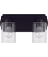 Hendrix 2-Light Lighting Flat Black