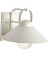 Ridge 1-Light Outdoor White