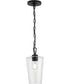 Celino 1-Light Pendant Black
