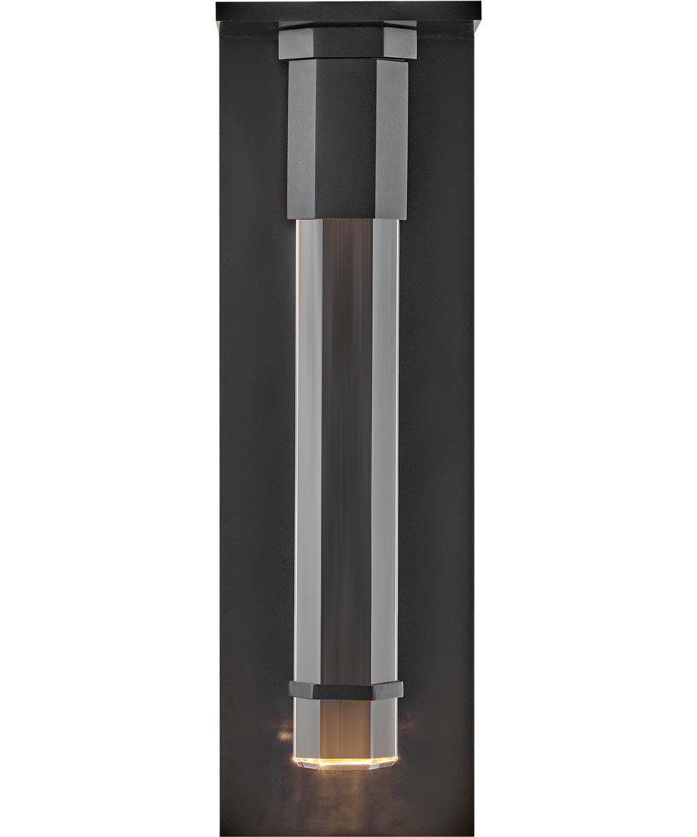 Cecily LED-Light Medium Wall Mount Lantern in Black