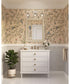 Quillan 3-Light Transitional Bath & Vanity Light White Plaster