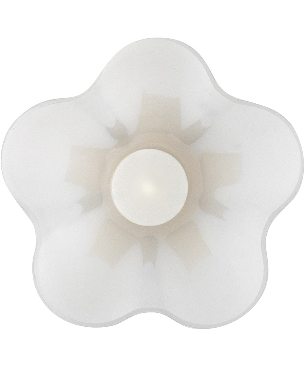 Honey 1-Light Small Pendant in Lacquered Brass